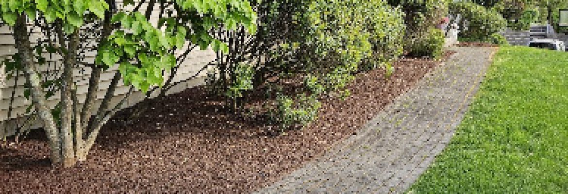 Back Roads Gardening & Landscapes LLC