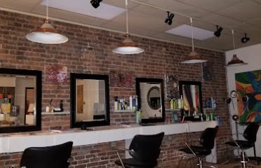 Salon Halo