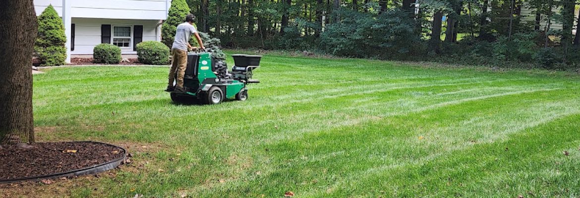 Total Lawn Care and Snow Plowing
