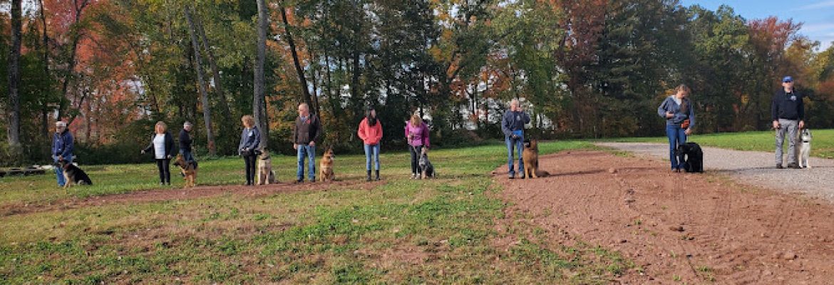 DeCarli Farm LLC