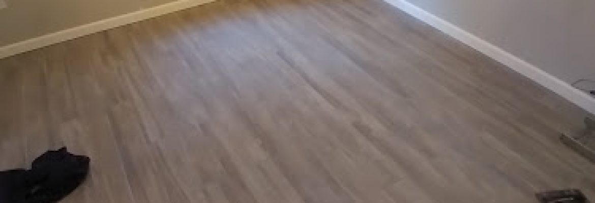 M&P Contractors