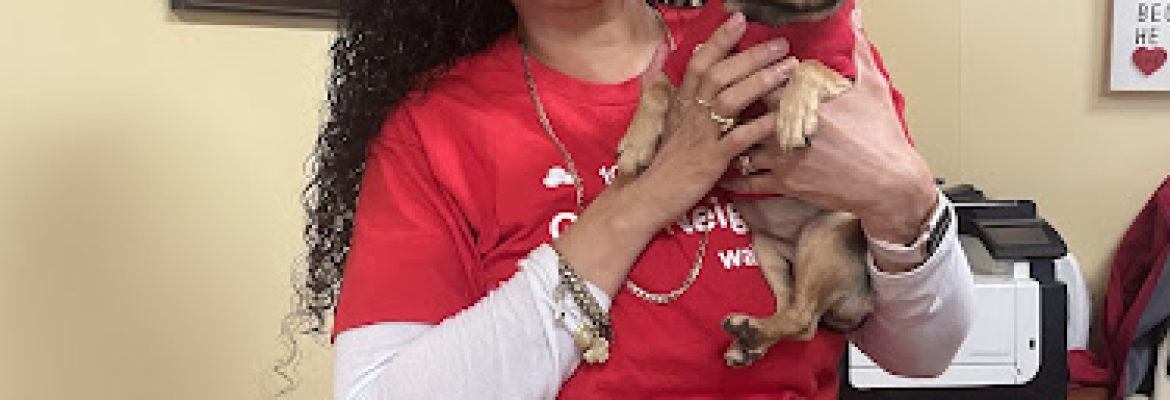 Elsie Encarnacion – State Farm Insurance Agent