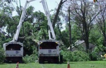 Allied Tree Experts