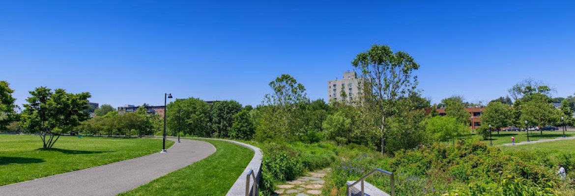 Mill River Park