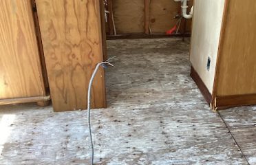 SERVPRO of New London