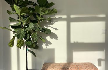 A Moment Away