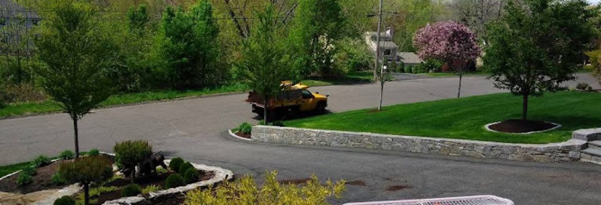 JCD Tree Service & Landscaping