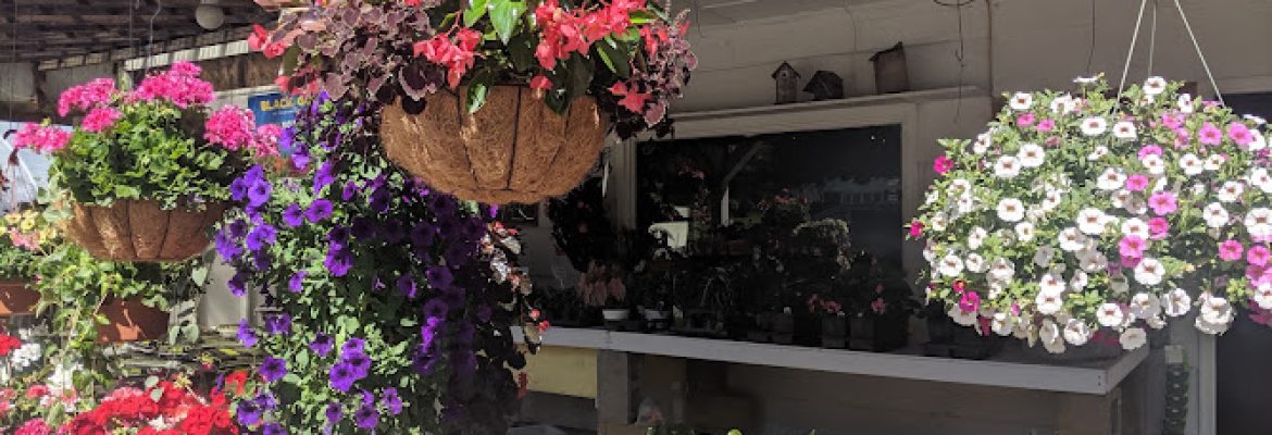 Garden Center