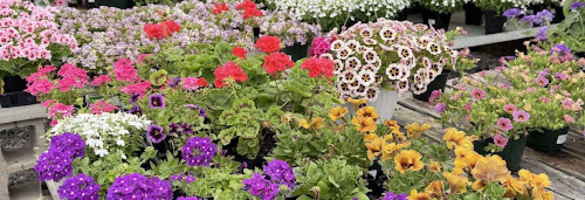 Mack & Twine Farms – Greenhouses