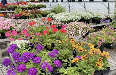 Mack & Twine Farms – Greenhouses