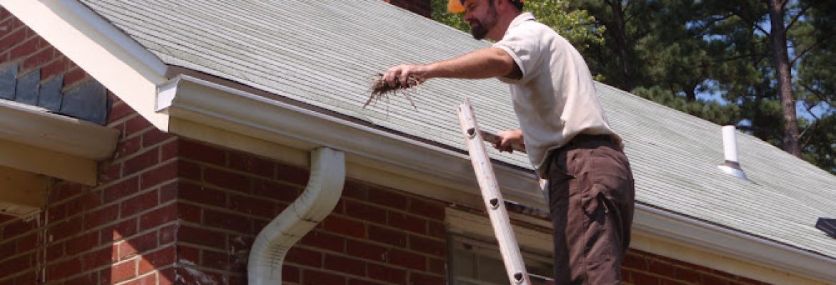 Seamless Flow Gutter Solutions