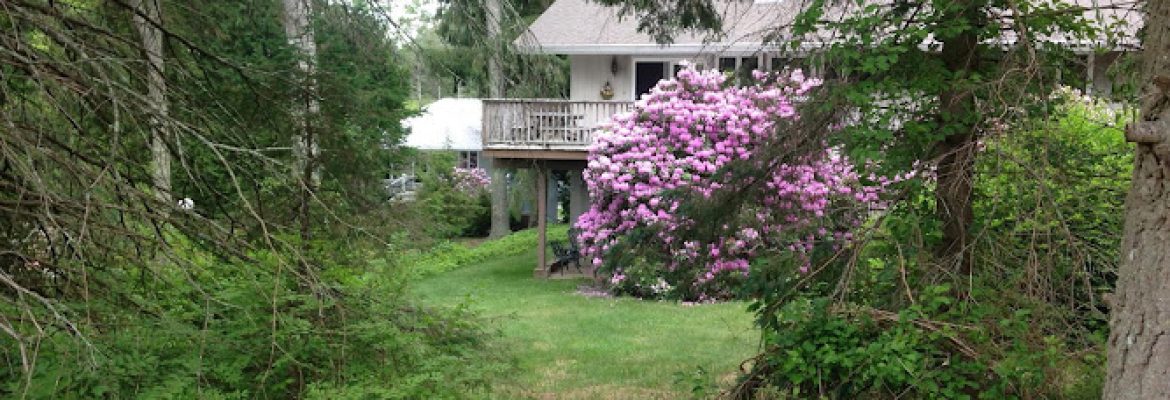 IPM Landscapes LLC