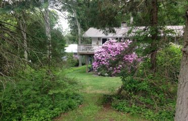 IPM Landscapes LLC