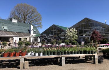 Sam Bridge Nursery & Greenhouses