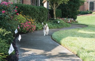 Invisible Fence Brand by Boundaries For Pets