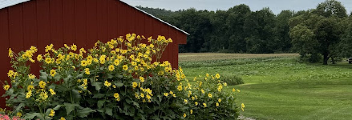 Blackmer Farm