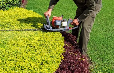Rolys Landscaping