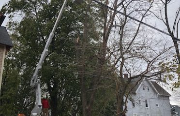 Centi’s Landscaping LLC & Tree Removal Services