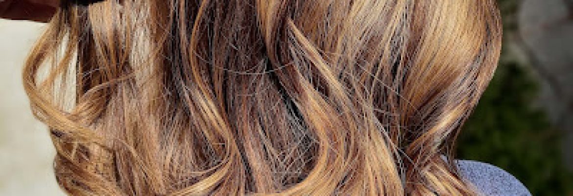 Hair 22 By Amy Reis