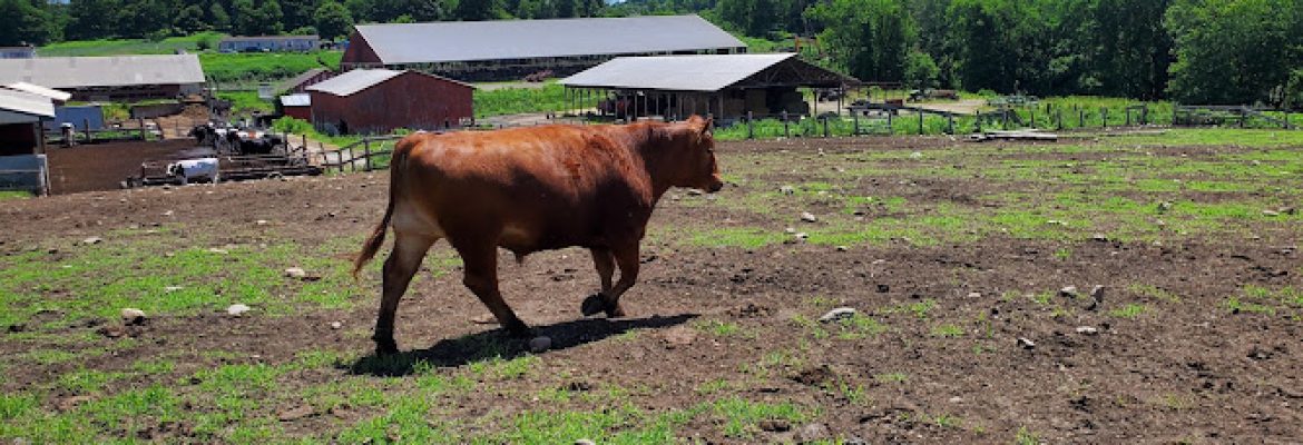 Logue Farms, Inc.