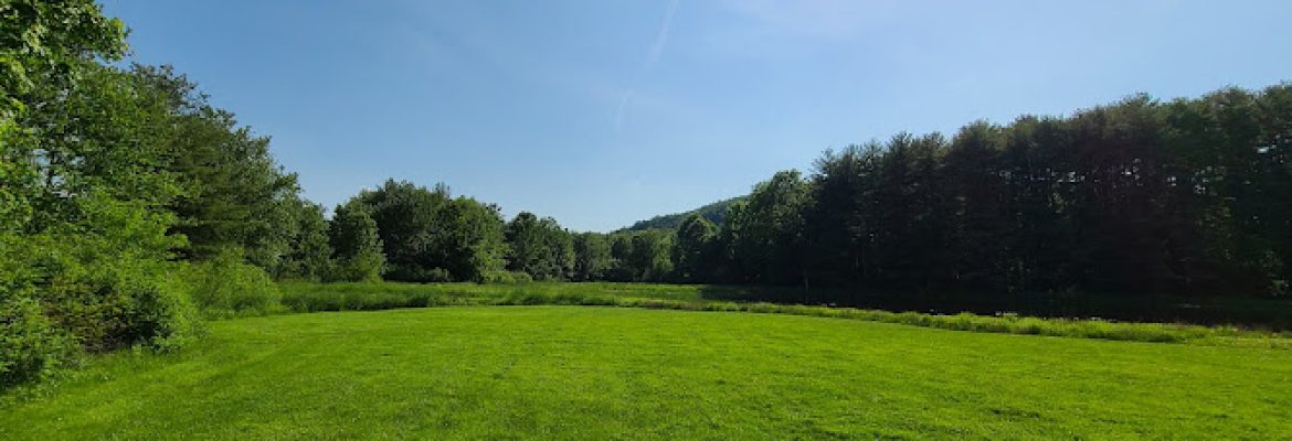 Orkil field