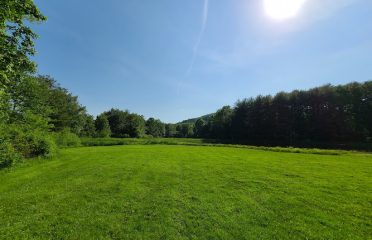 Orkil field