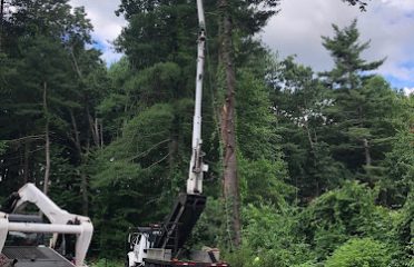 Natural Systems Tree Service