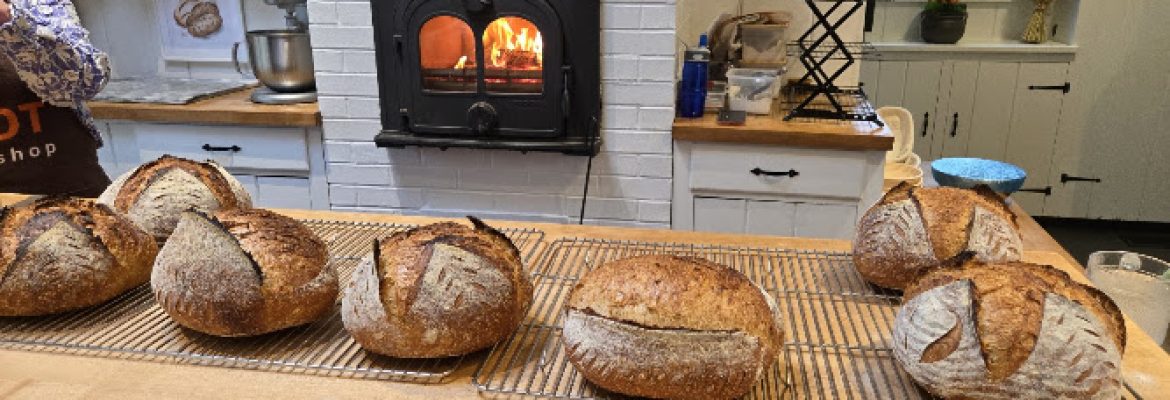Brotworkshop (Bread Bakery and Workshops)