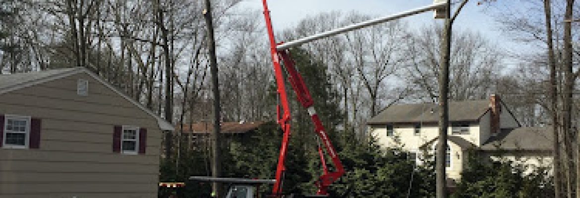 Jim’s Tree Service