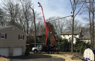 Jim’s Tree Service