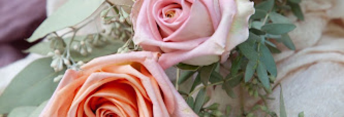 The Petal Preservation Co.