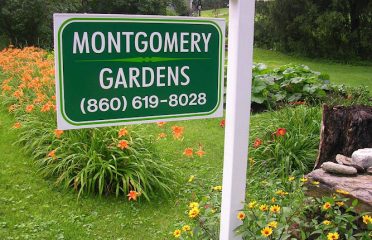 Montgomery Gardens