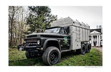 Mill River Tree Service