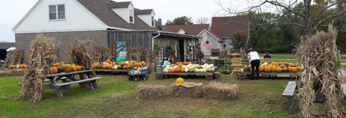 Defazio Orchard