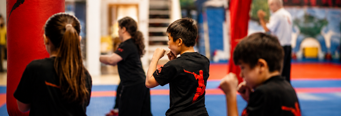 Wu Dang Kung Fu Academy