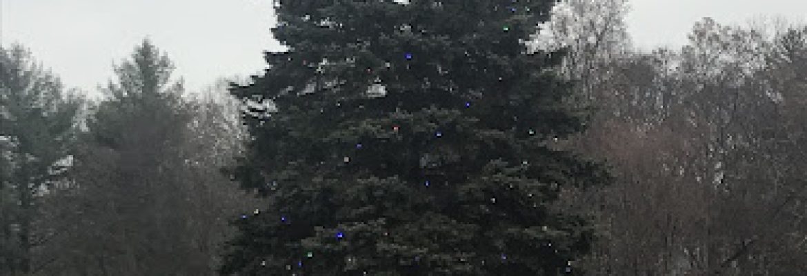 NEW CANAAN EXCHANGE CLUB CHRISTMAS TREE and WREATH SALE