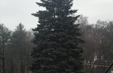 NEW CANAAN EXCHANGE CLUB CHRISTMAS TREE and WREATH SALE