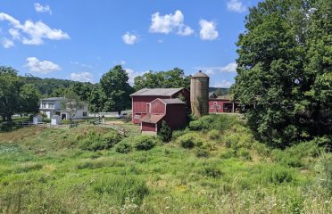 Platt Park