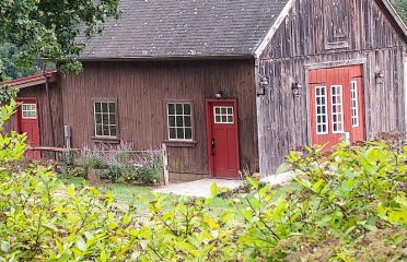 Ox & Oak Vineyards