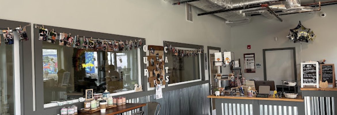 Perk and Paws Cat Cafe