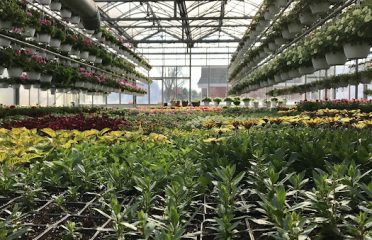 Botticello Farms LLC