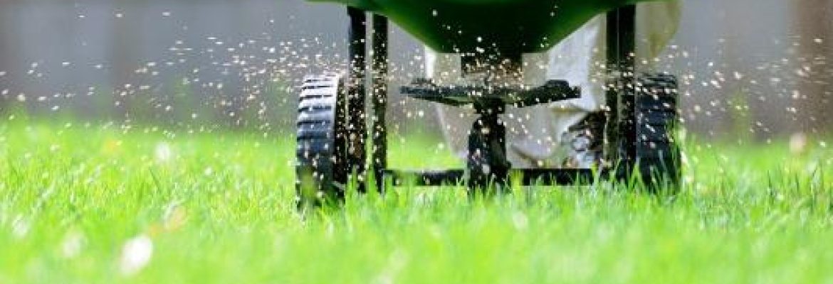 Palatine Property Services, LLC