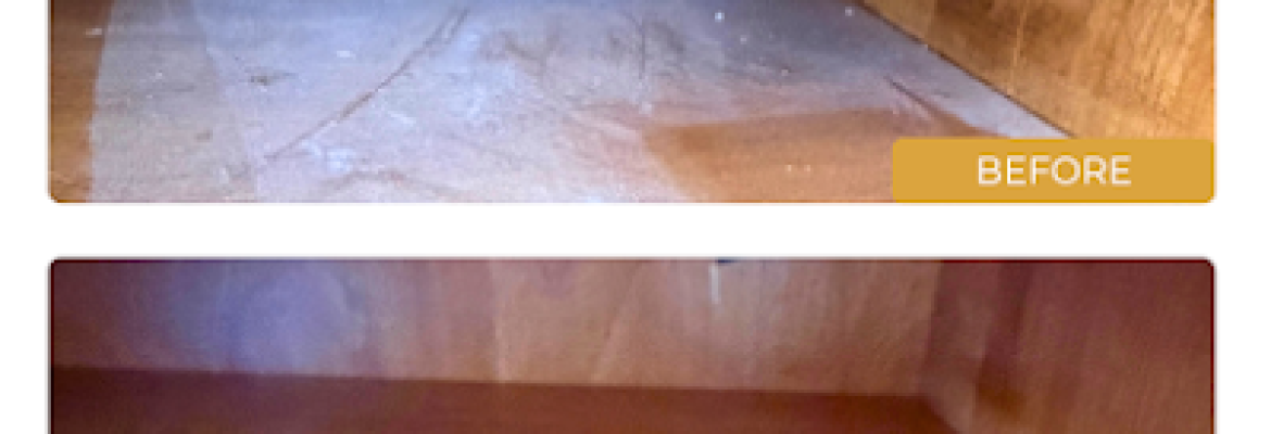 Essential Cleaning LLC