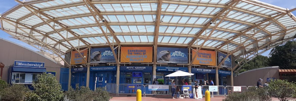 Mystic Aquarium