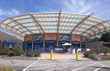 Mystic Aquarium