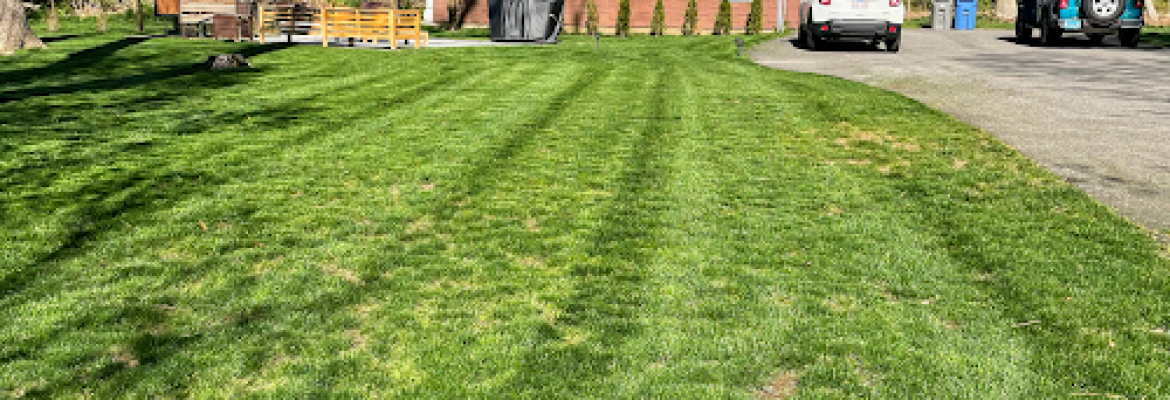 Ground Control Landscaping