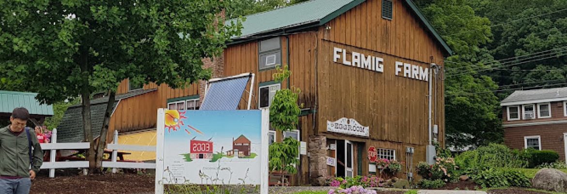 Flamig Farm