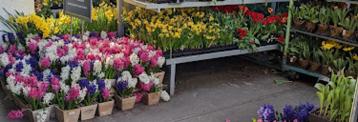 The Home Depot