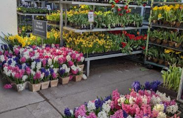 The Home Depot