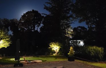 Lucky Lawn